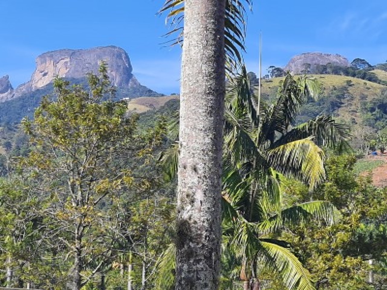 São Bento do Sapucaí